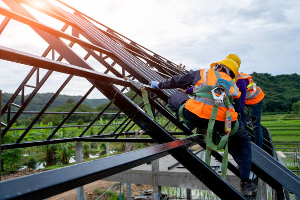 Best Roof Gutter Cleaning  in San Leon, TX